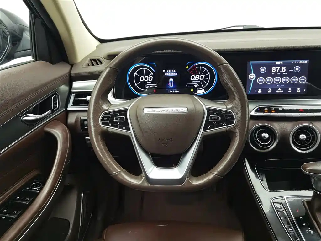 LEOPAARD MATTU 2018