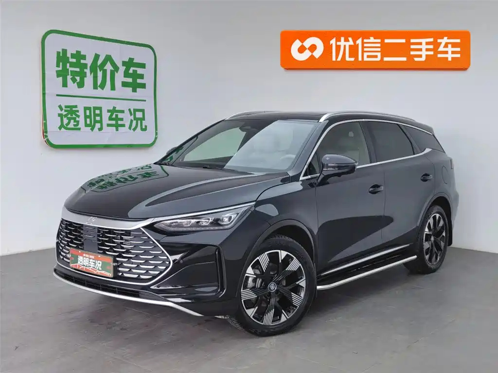 Аукционный лист BYD TANG NEW ENERGY 2024