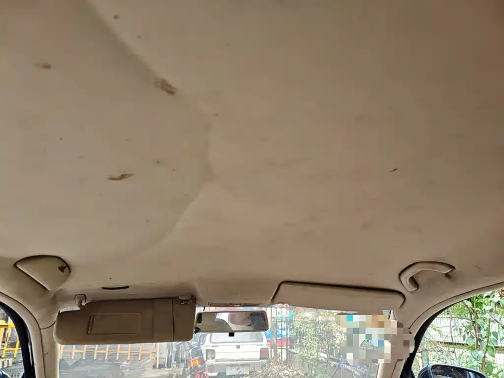 VOLKSWAGEN PASSAT LINGYU 2011