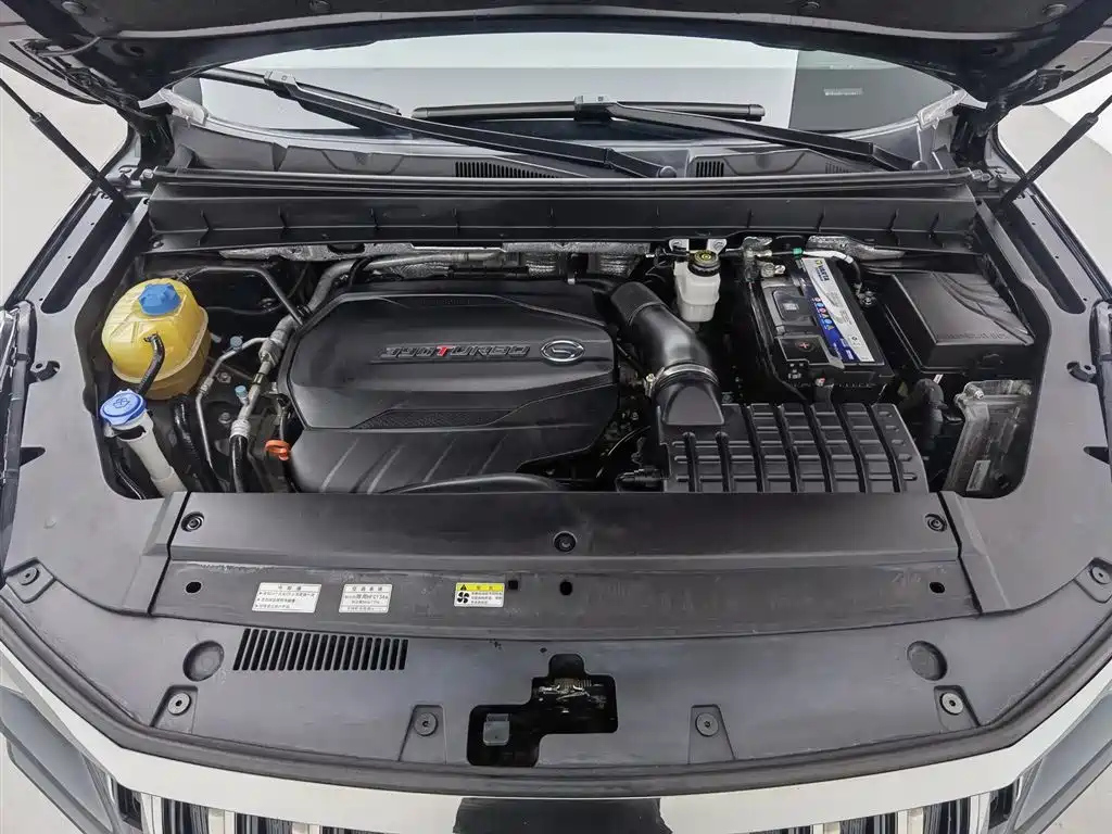 TRUMPCHI GS8 2020