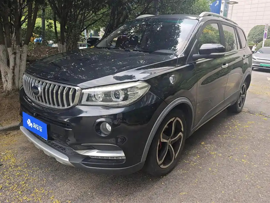 Аукционный лист SWM X7 2017