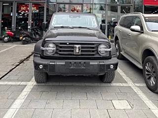 Заказать TANK 300 NEW ENERGY