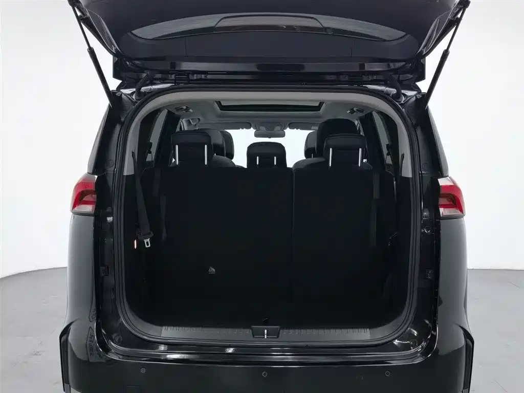 MAXUS OTHER 2019