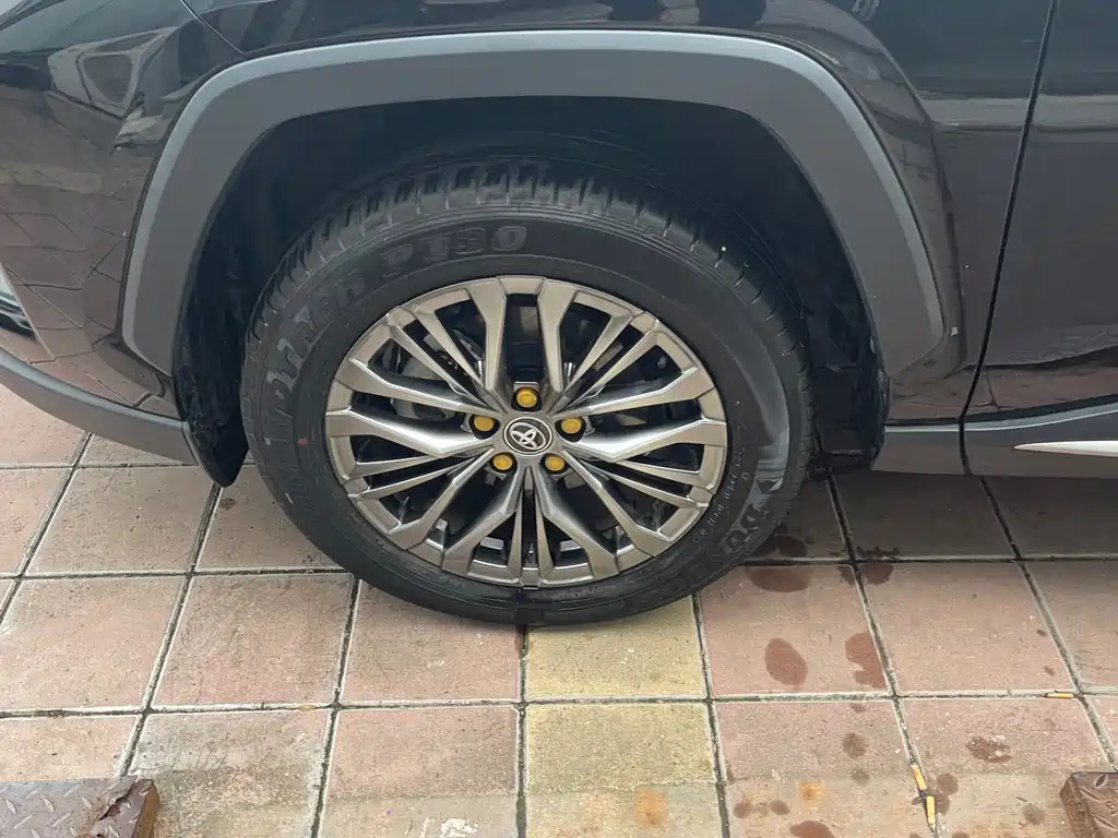 TOYOTA WILDLANDER 2024