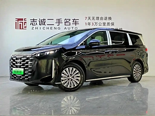 BYD OTHER