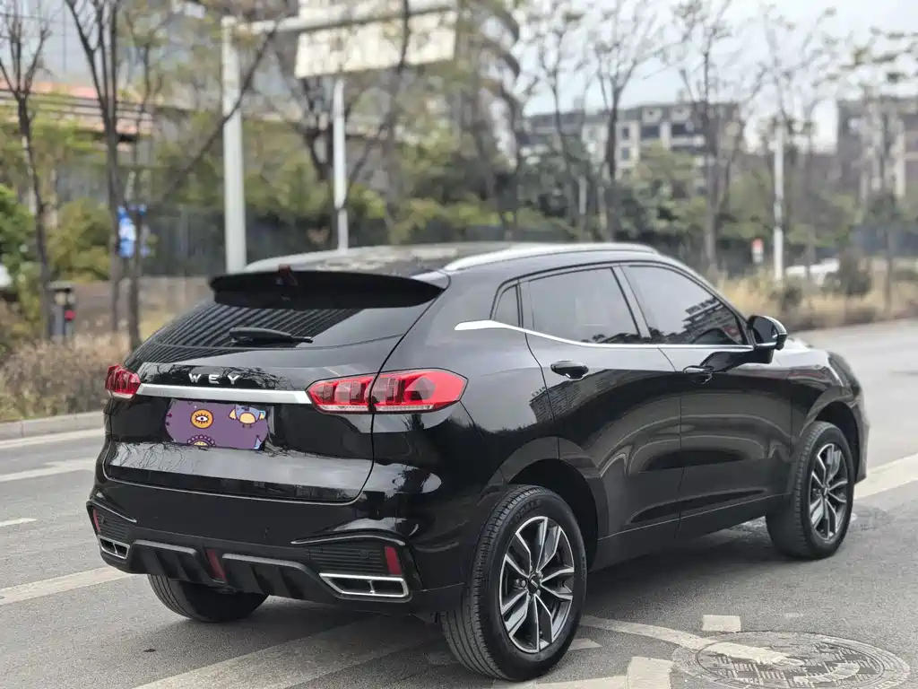 WEY VV5 2019