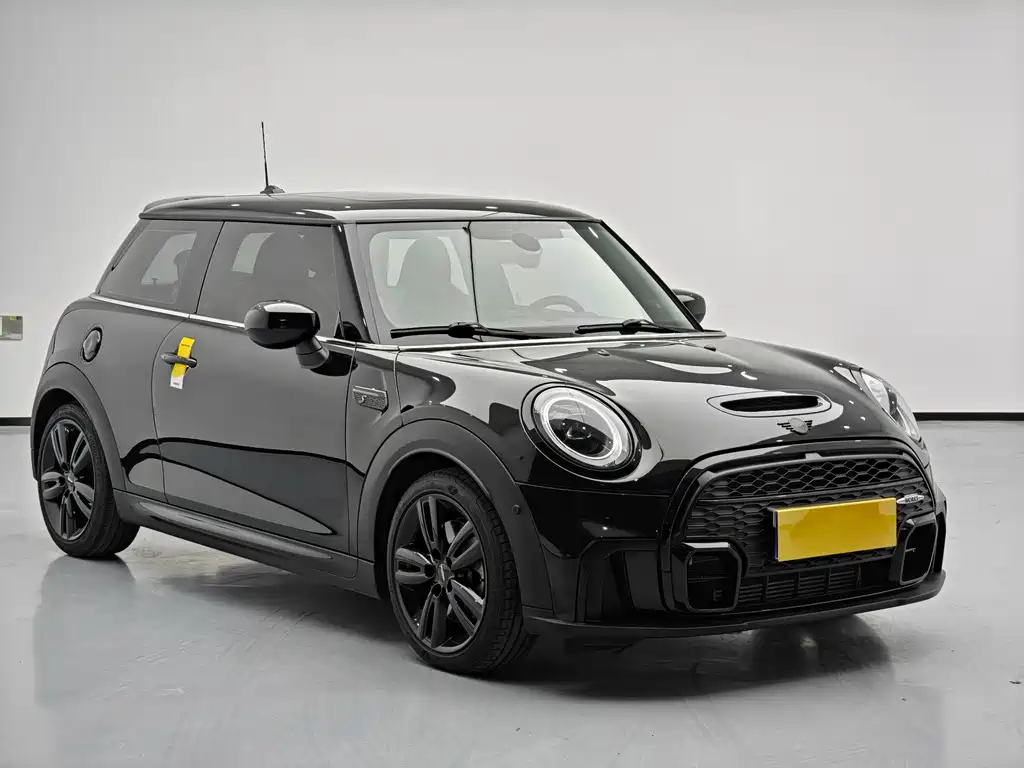 MINI OTHER 2022