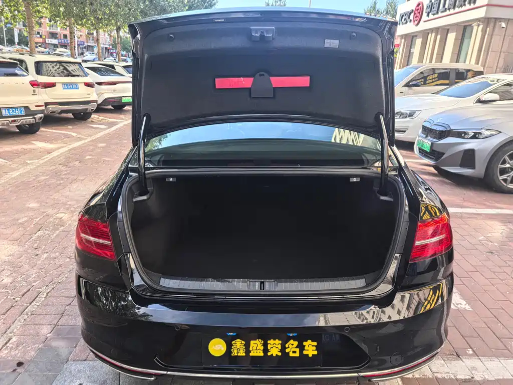 VOLKSWAGEN MAGOTAN 2017
