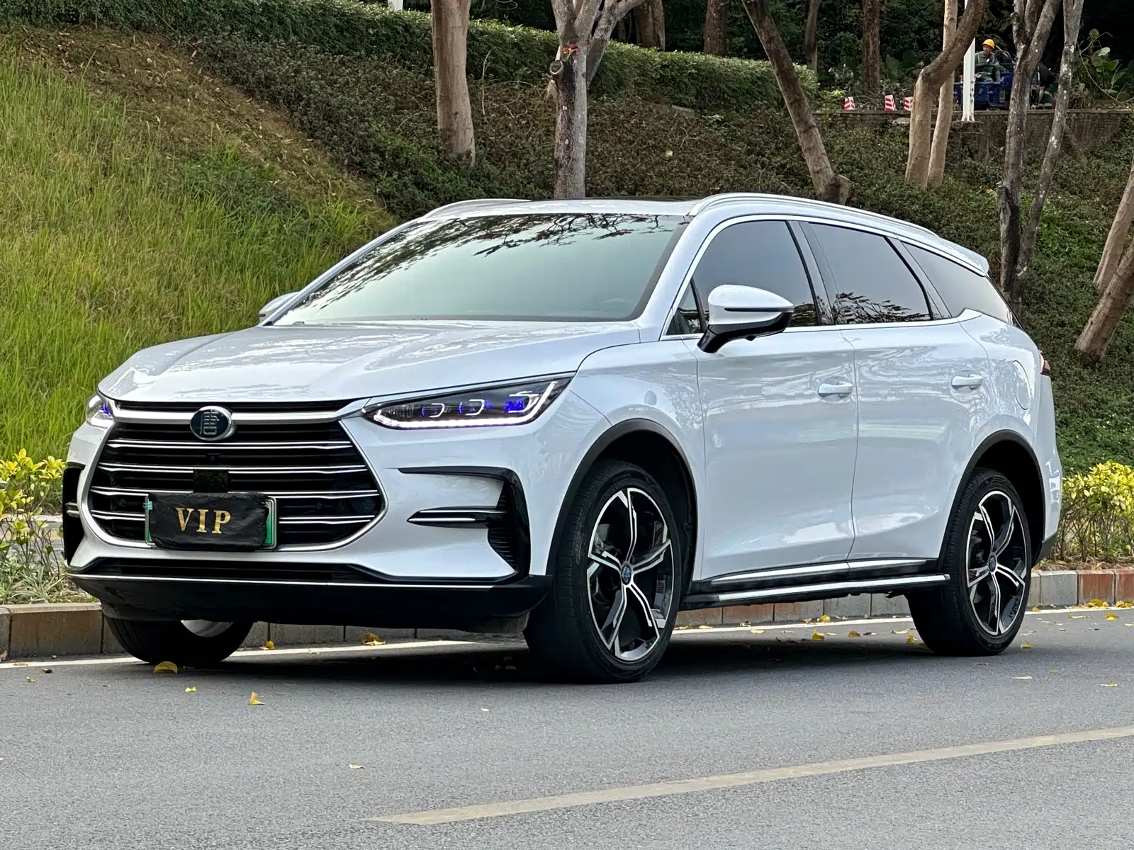 BYD TANG NEW ENERGY 2023