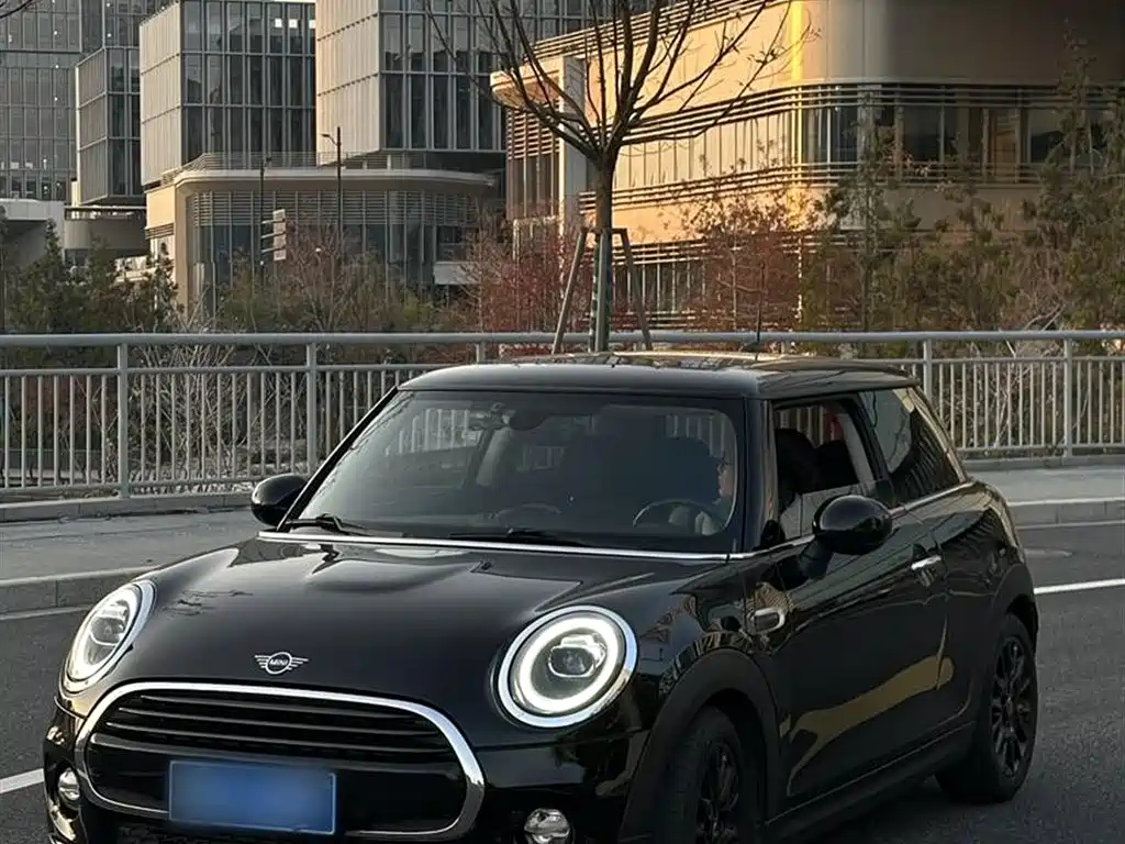 MINI OTHER 2018