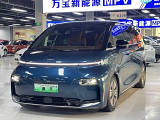 Заказать LEVC L380