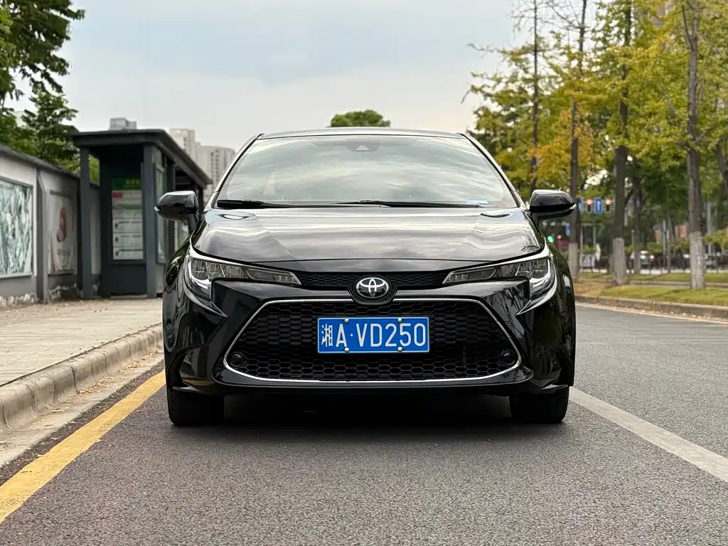 TOYOTA RALINK 2019