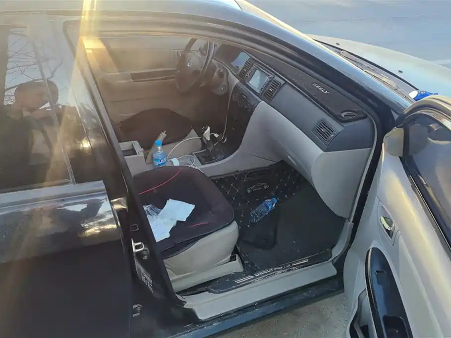 GEELY AUTO VISION 2013