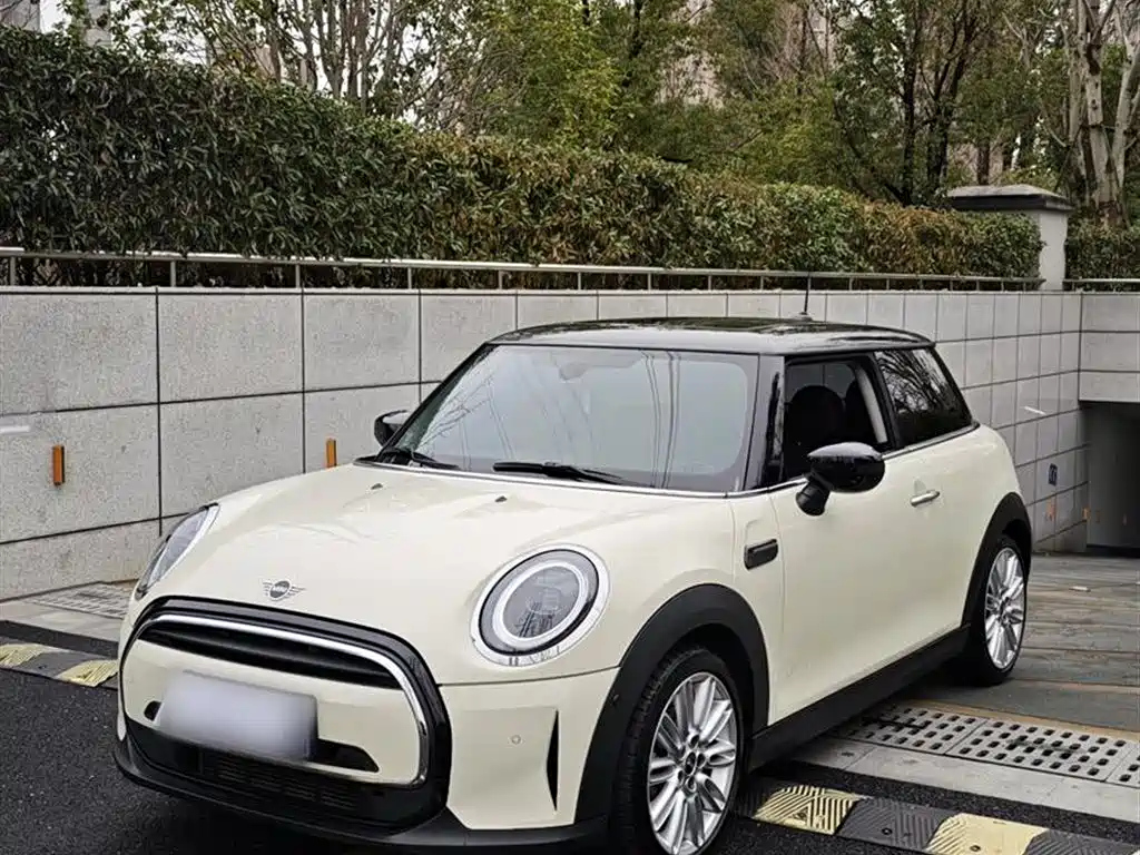 MINI OTHER