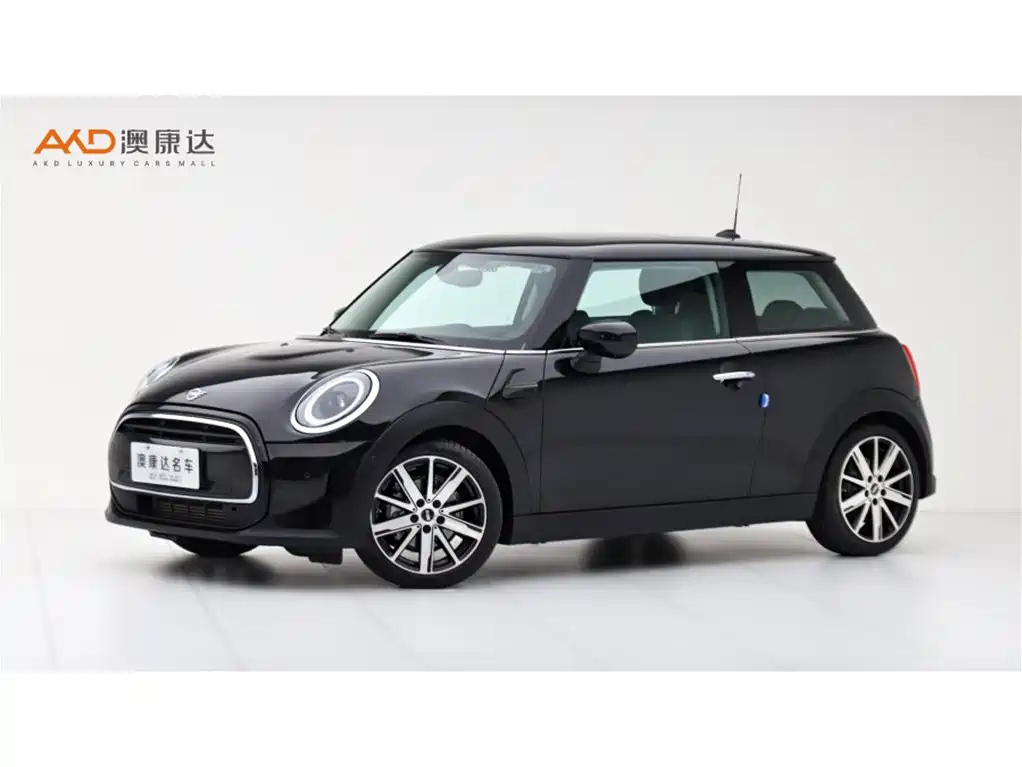 MINI OTHER 2023