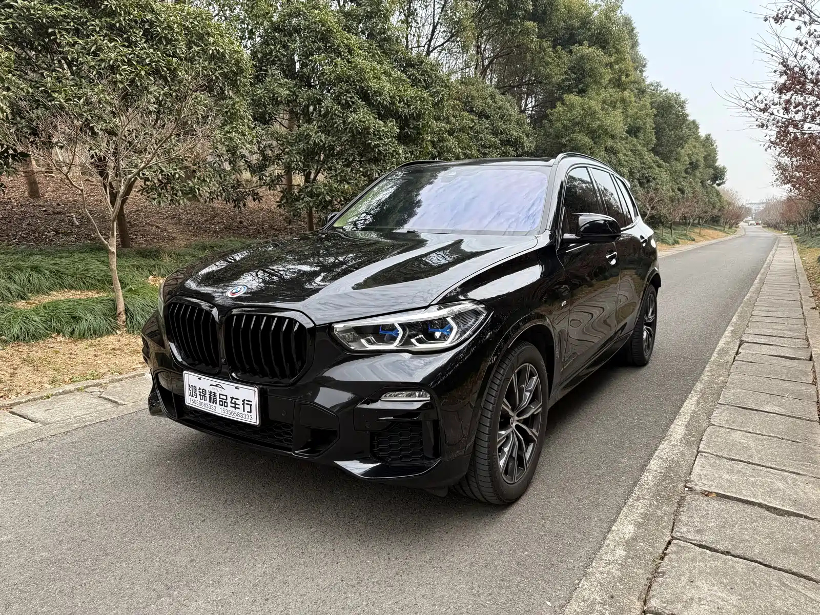 BMW X5 IMPORT 2021