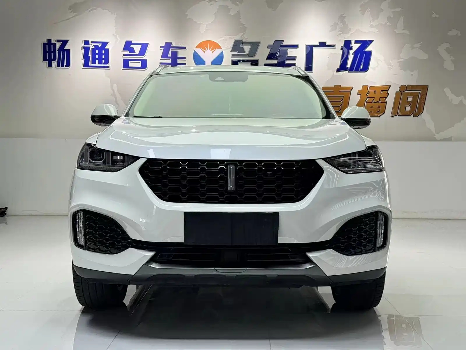 WEY VV6 2018