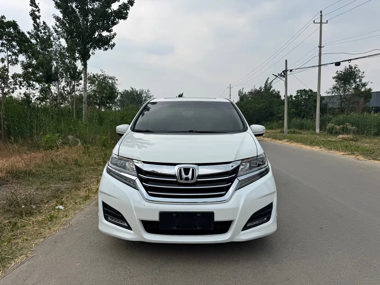 HONDA ALISON 2016