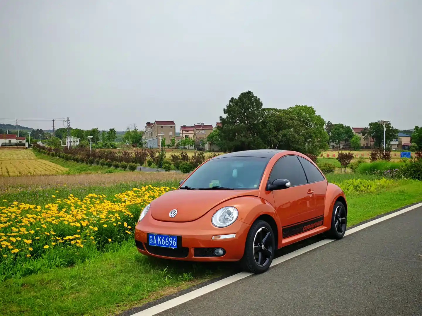 VOLKSWAGEN BEETLE 2010