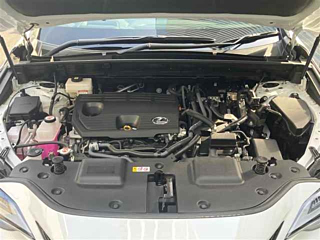 LEXUS NX 2022