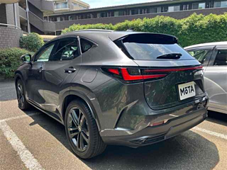 LEXUS NX 2022