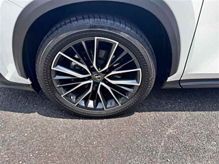 LEXUS NX 2023