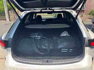 LEXUS RX 2024