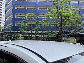 TOYOTA ALPHARD 2023