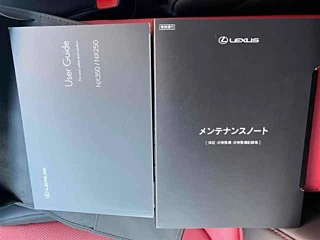 LEXUS NX 2022