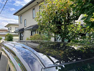 TOYOTA ESQUIRE 2020