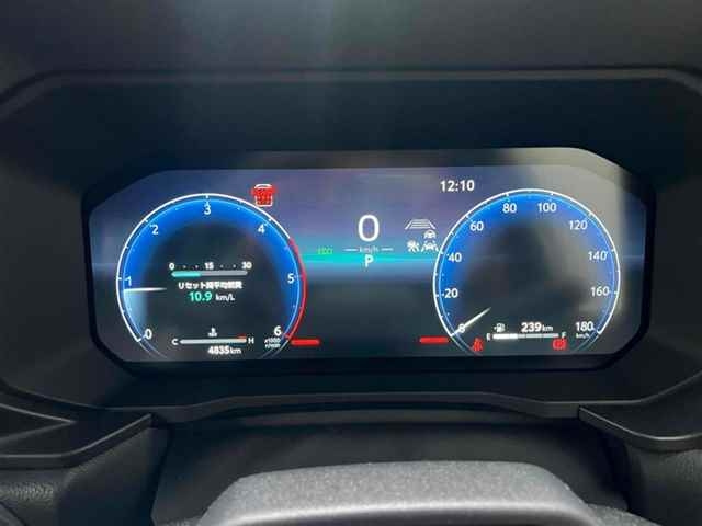 TOYOTA LAND CRUISER 2024