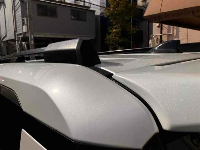 TOYOTA LAND CRUISER 2024