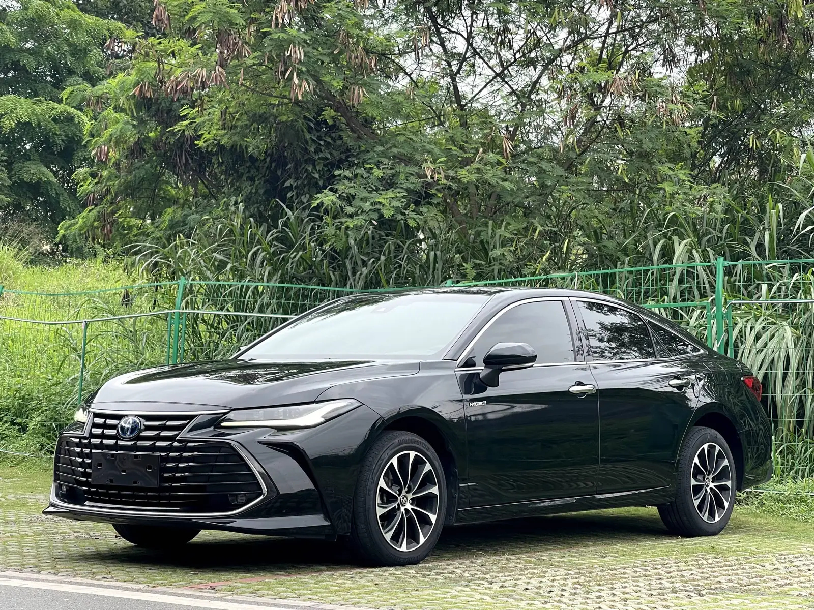 TOYOTA AVALON