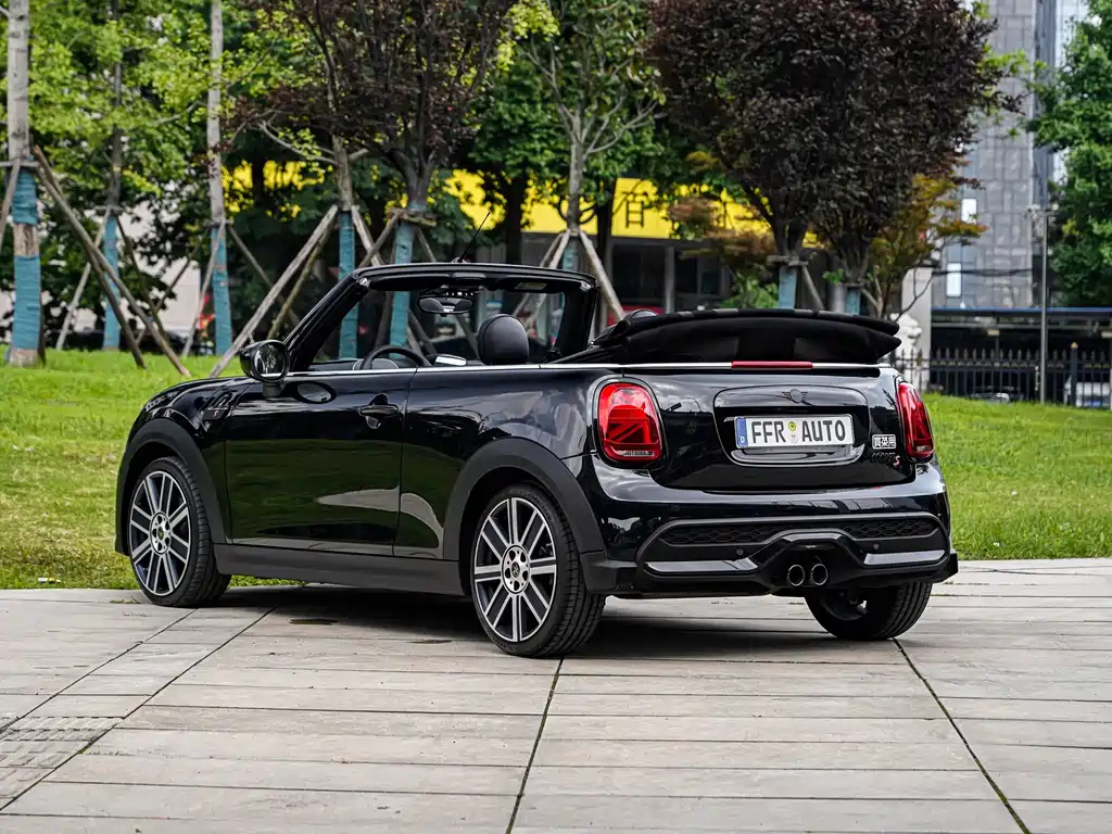 MINI OTHER 2023