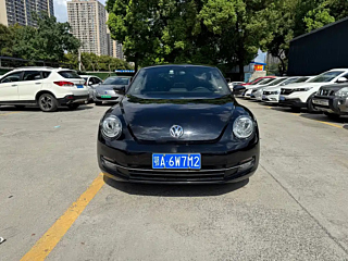 VOLKSWAGEN BEETLE  2014