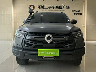 Заказать GREAT WALL CANNON
