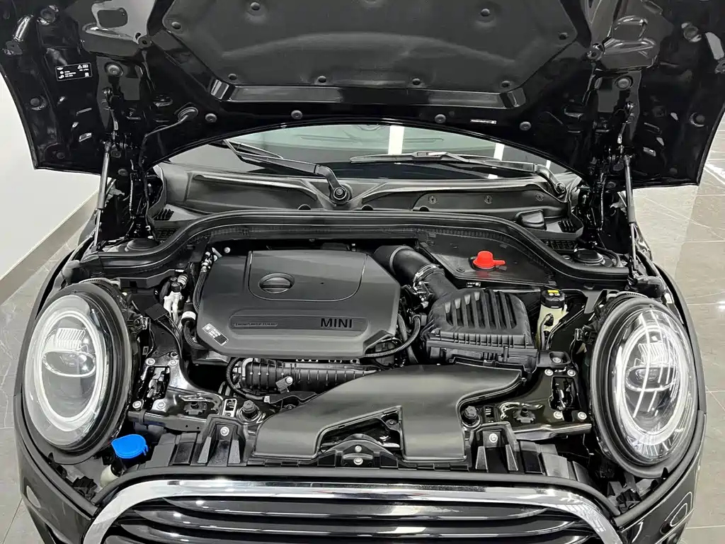 MINI OTHER 2021