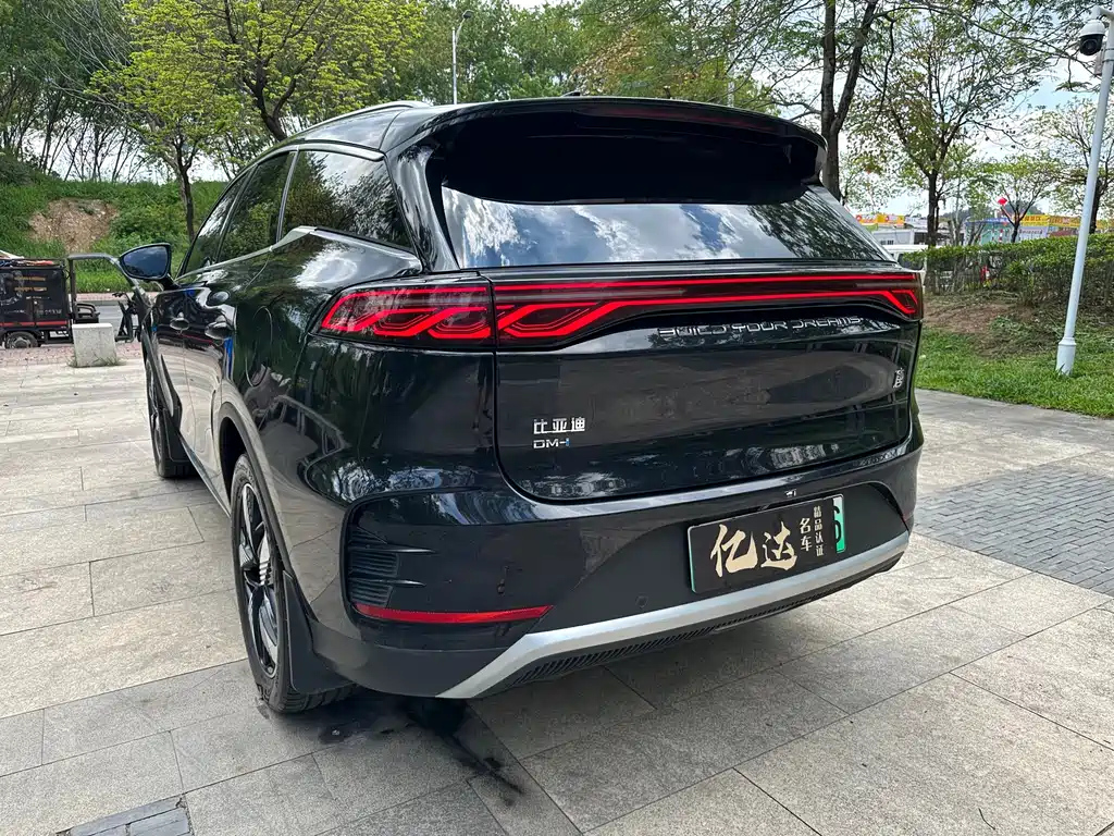BYD TANG NEW ENERGY 2024