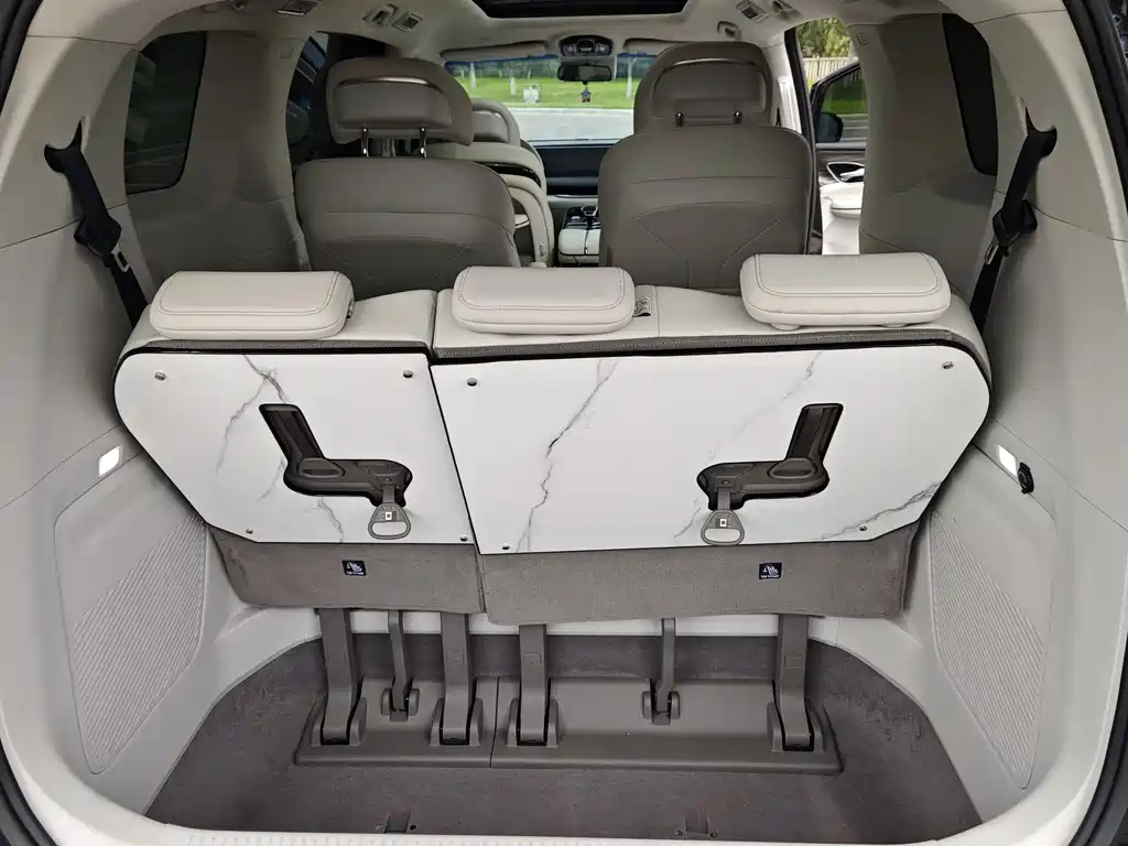 DONGFENG OTHER 2024
