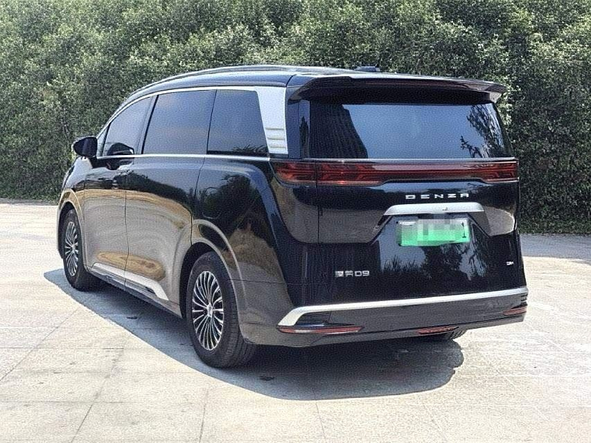 DENZA D9 2022
