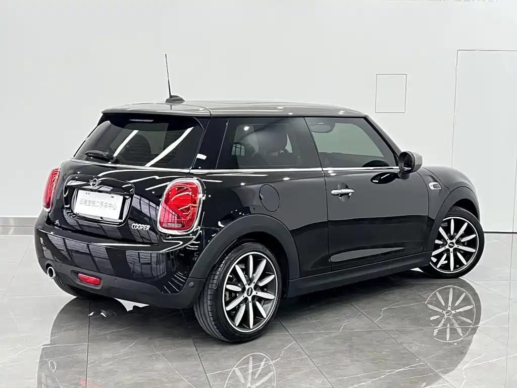 MINI OTHER 2021