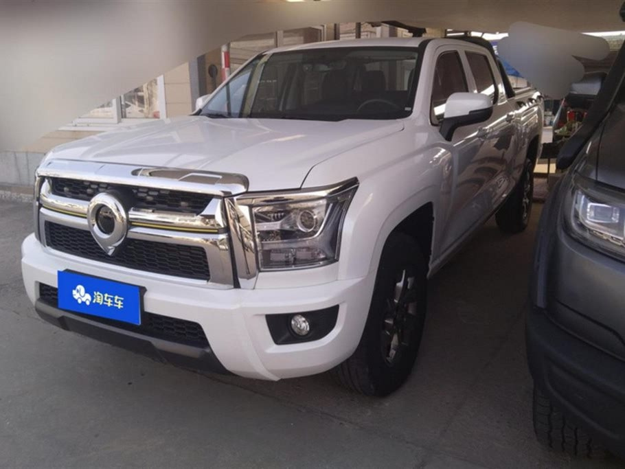 GREAT WALL OTHER