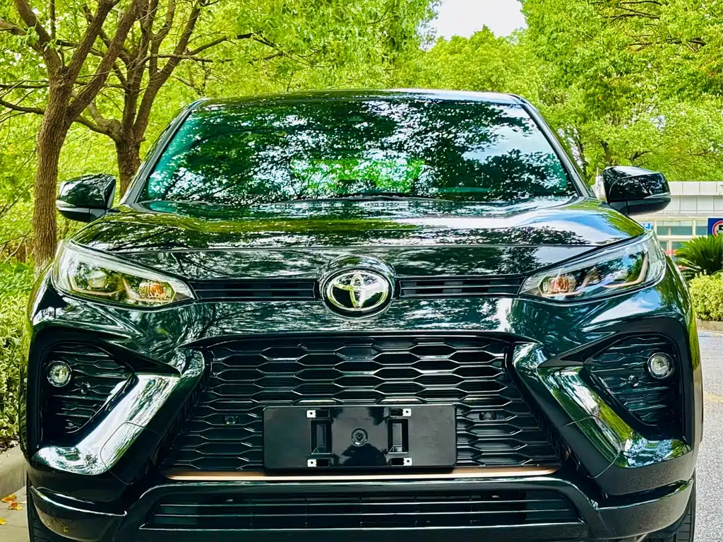TOYOTA WILDLANDER 2024