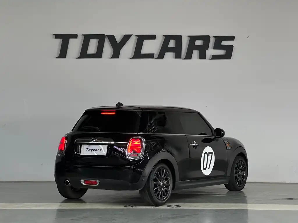 MINI OTHER 2016