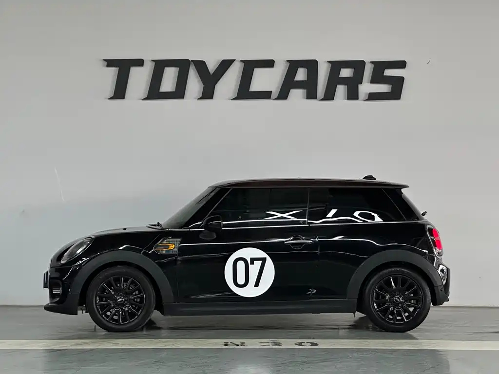 MINI OTHER 2016