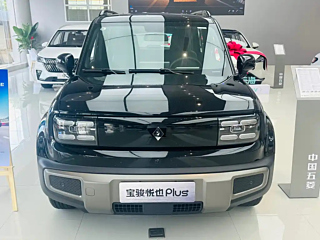 Заказать BAO JUN OTHER