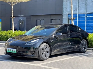 TESLA MODEL 3  2021 YEAR STANDARD RANGE  UPGRADED EDITION 3D6 2021