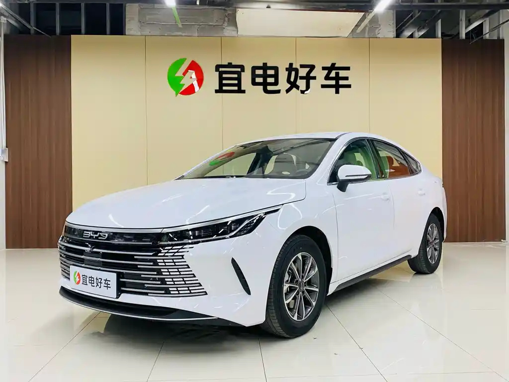 BYD DESTROYER 05 2024