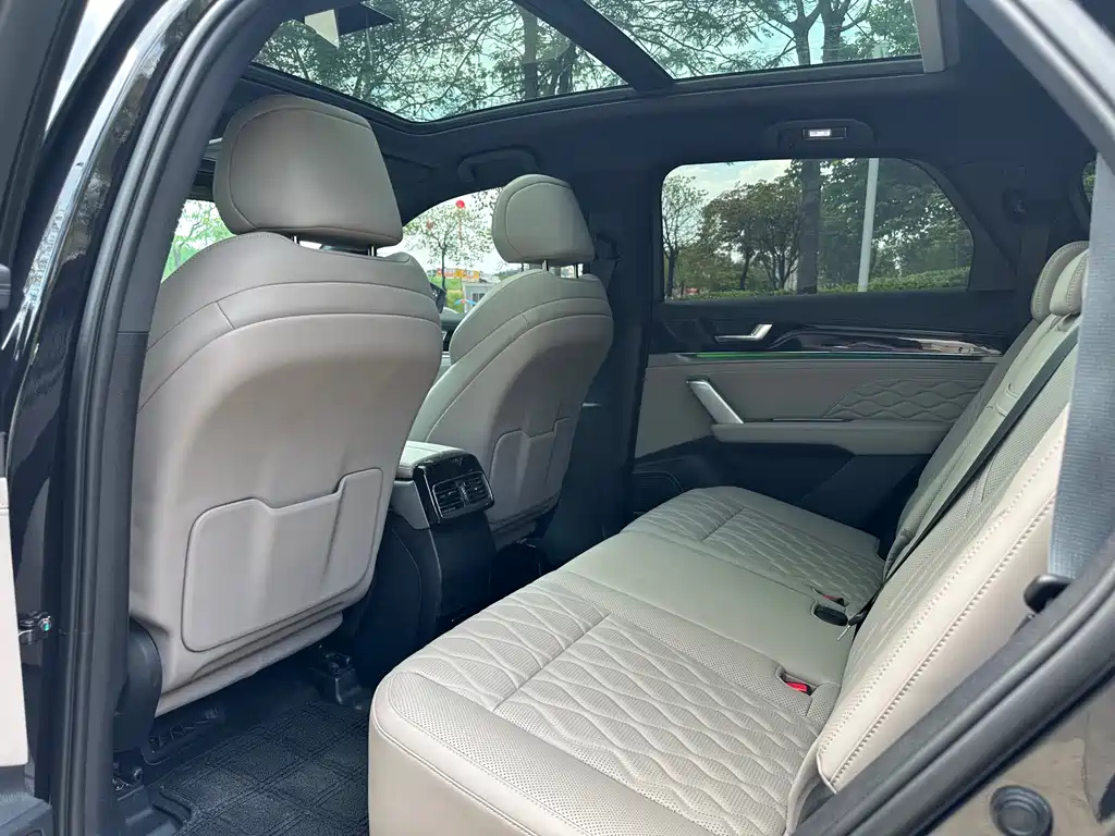 BYD TANG NEW ENERGY 2024