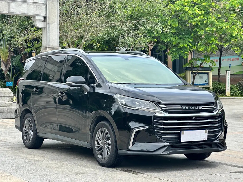 MAXUS OTHER 2019